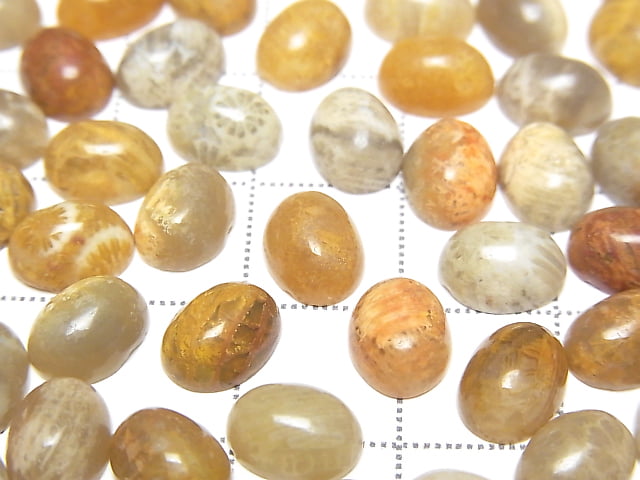 Fossilkoralle ovaler Cabochon 8x6mm 5 Stück