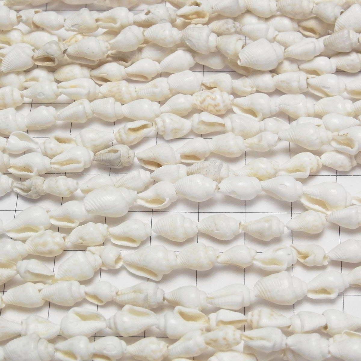 Spiral Shell beads Vertical Hole 1strand beads (aprx.57inch / 146cm)