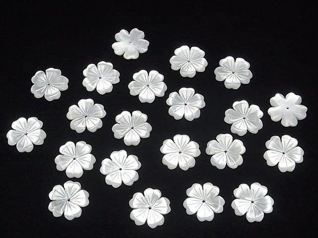Hochwertige weiße Muschel AAA Blume 15mm Mittelbohrung 2 Stück