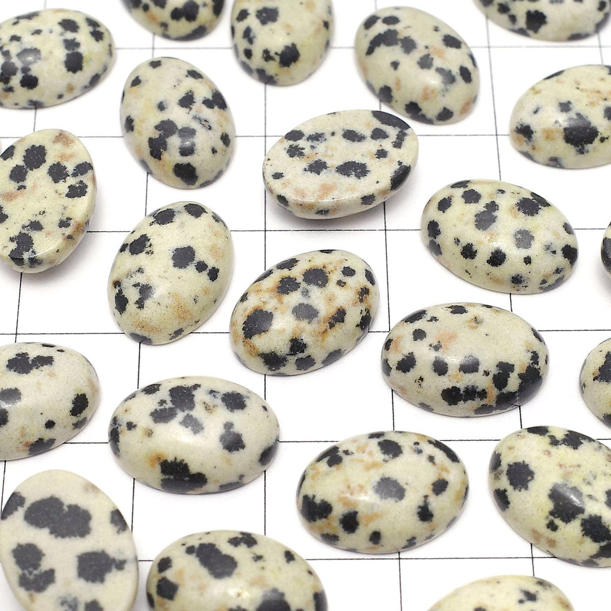 Dalmatian Jasper Oval Cabochon 14x10mm 5pcs