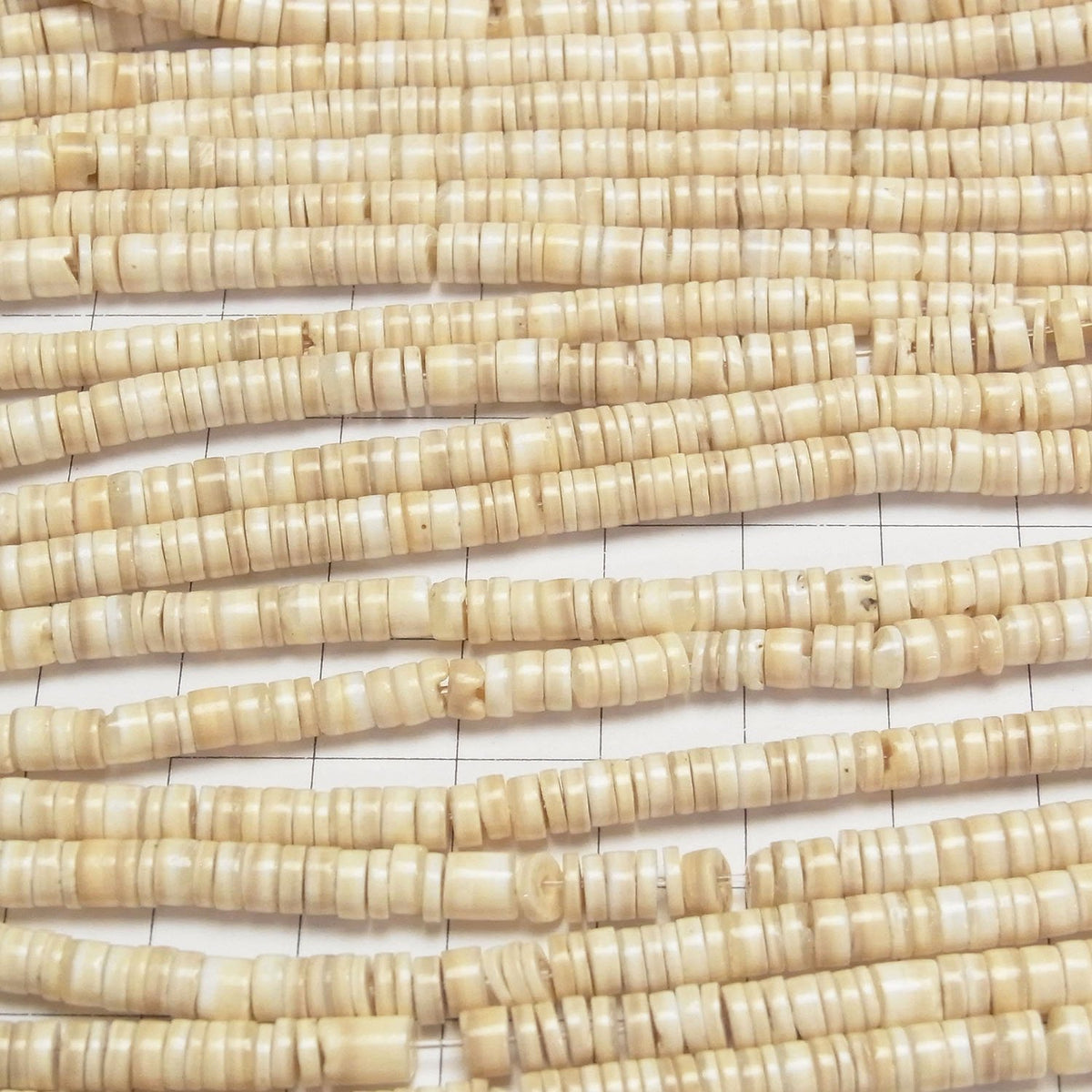 Striped Beige Shell Rondelle (Heishi)5x5x1.5mm half or 1strand beads (aprx.23inch/58cm)