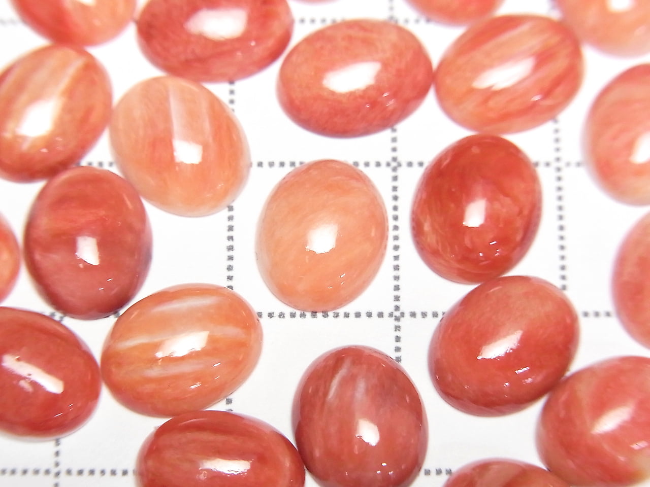Stacheloyster-Schale ovaler Cabochon 10x8mm 1 Stück
