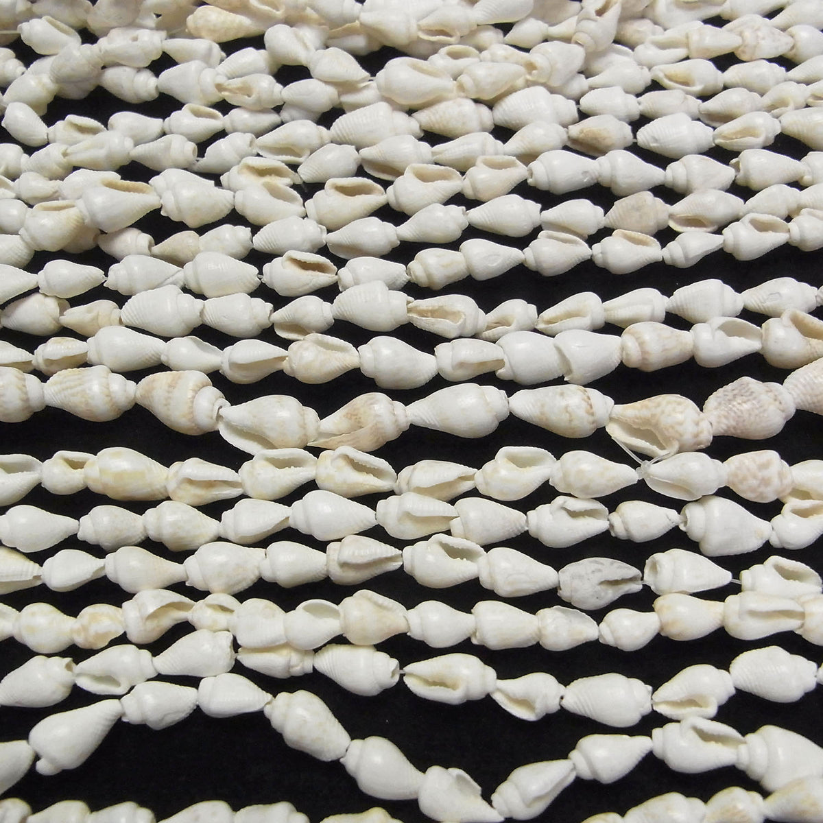 Spiral Shell beads Vertical Hole 1strand beads (aprx.57inch / 146cm)