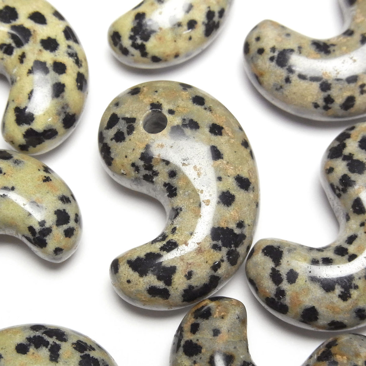 Dalmatian Jasper Comma Shaped Bead 30x20mm 1pc