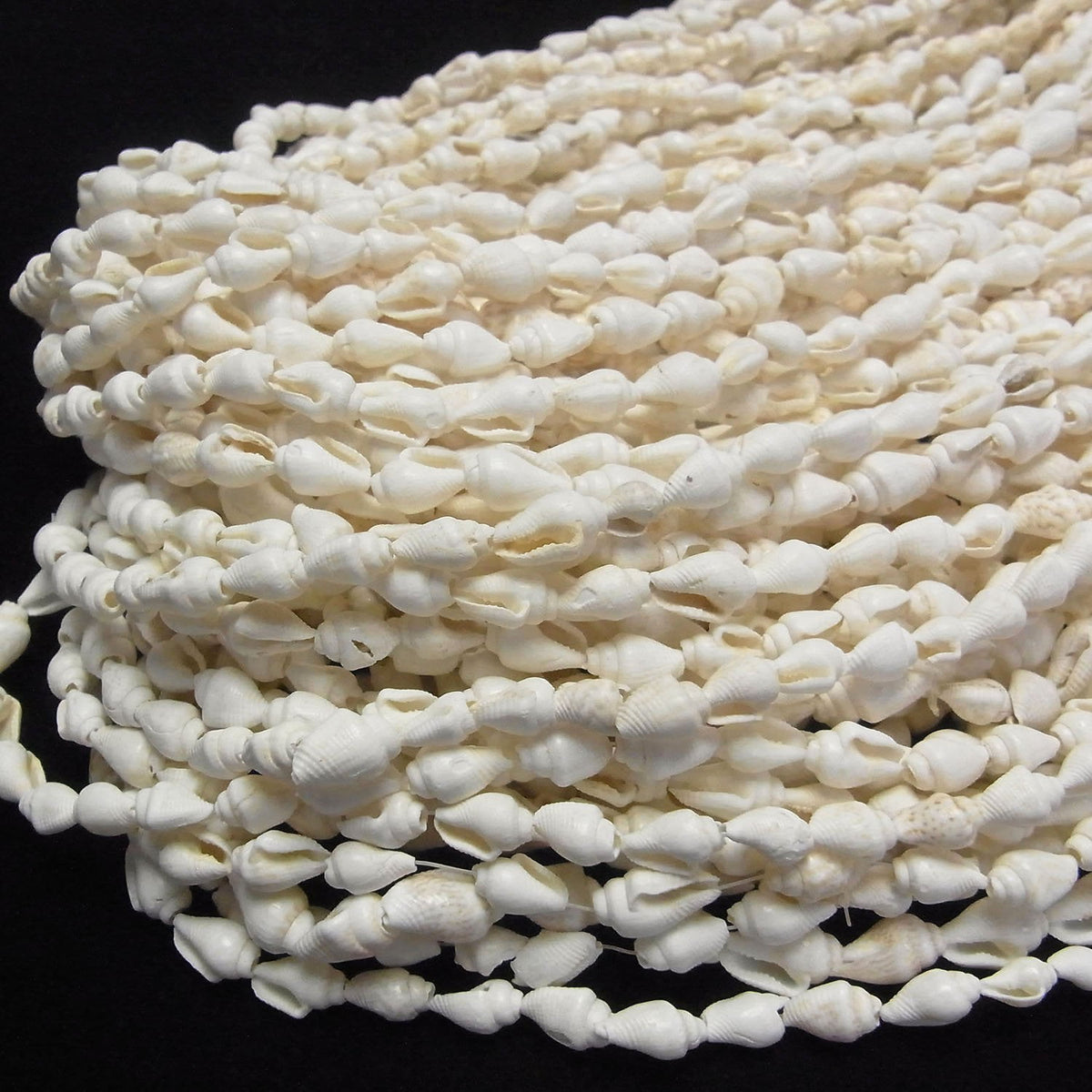 Spiral Shell beads Vertical Hole 1strand beads (aprx.57inch / 146cm)
