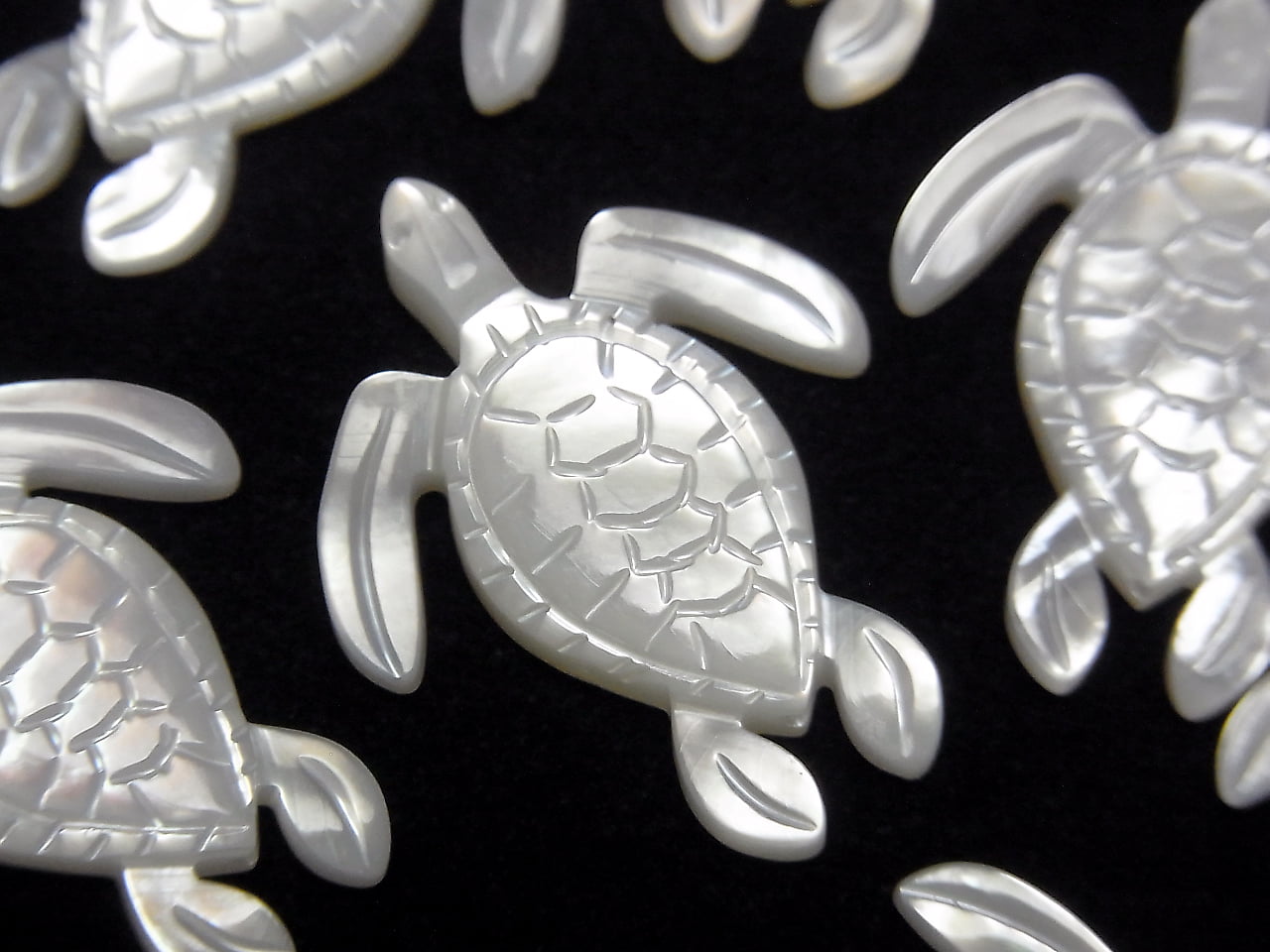 High quality white shell AAA turtle shape 25x20x2.5mm 1pc