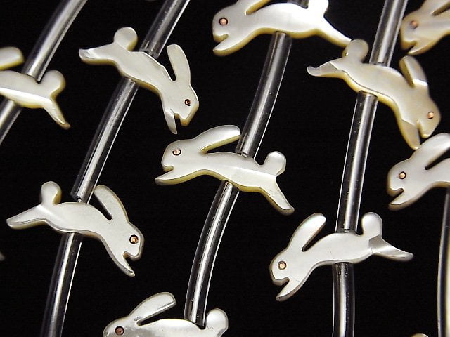 Mother of Pearl (Shell Beads), Other Shape Pearl & Shell Beads