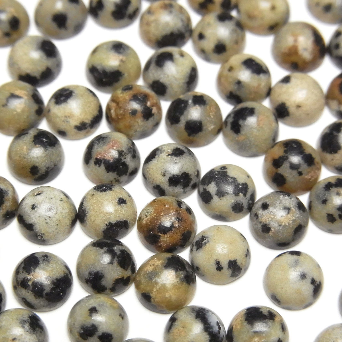 Dalmatiner-Jaspis Rund Cabochon 6x6mm 5 Stück