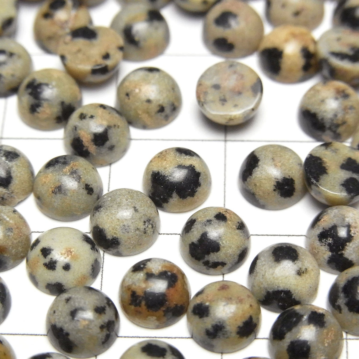 Dalmatiner-Jaspis Rund Cabochon 6x6mm 5 Stück