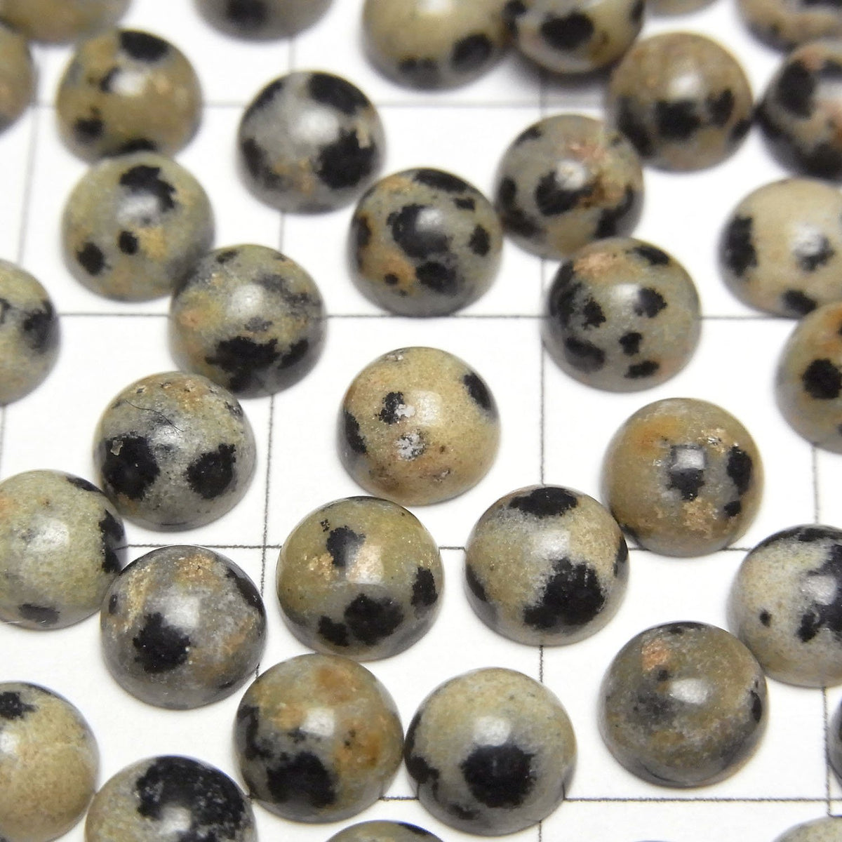 Dalmatiner-Jaspis Rund Cabochon 6x6mm 5 Stück