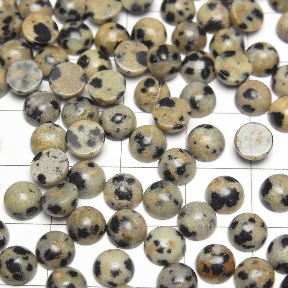 Dalmatiner-Jaspis Rund Cabochon 6x6mm 5 Stück