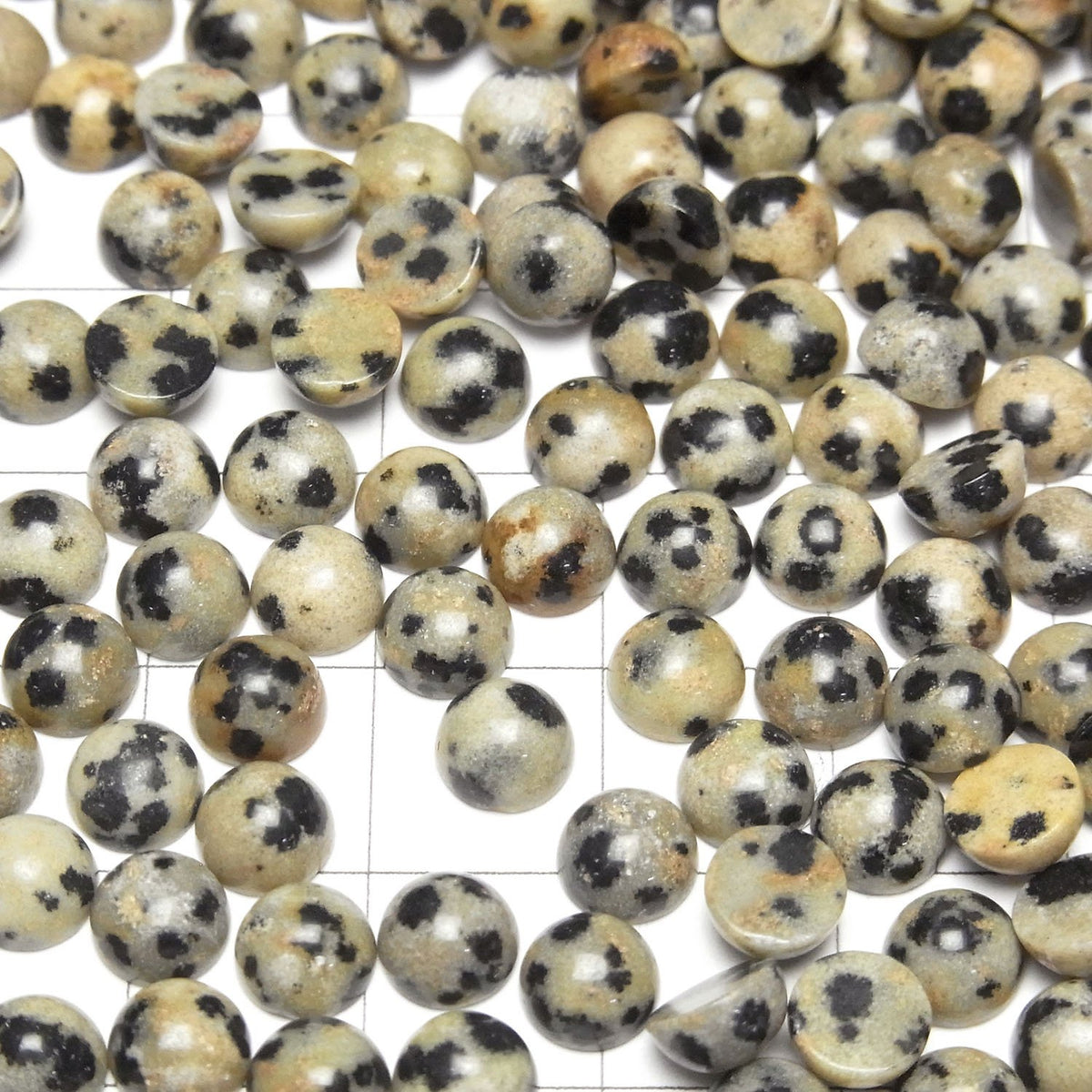 Dalmatiner-Jaspis Rund Cabochon 6x6mm 5 Stück