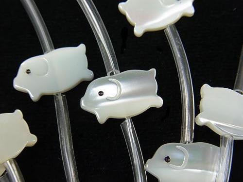 Mother of Pearl (Shell Beads), Other Shape Pearl & Shell Beads
