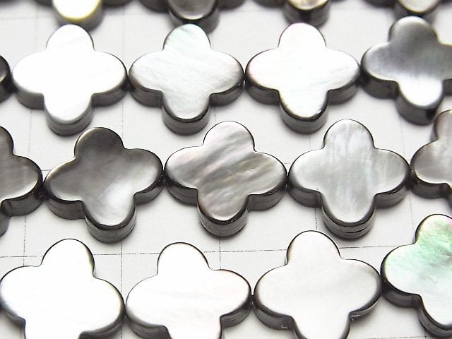 Black Shell AAA Flower Motif 13x13x3mm 1/4 or 1strand beads (aprx.15inch/38cm)