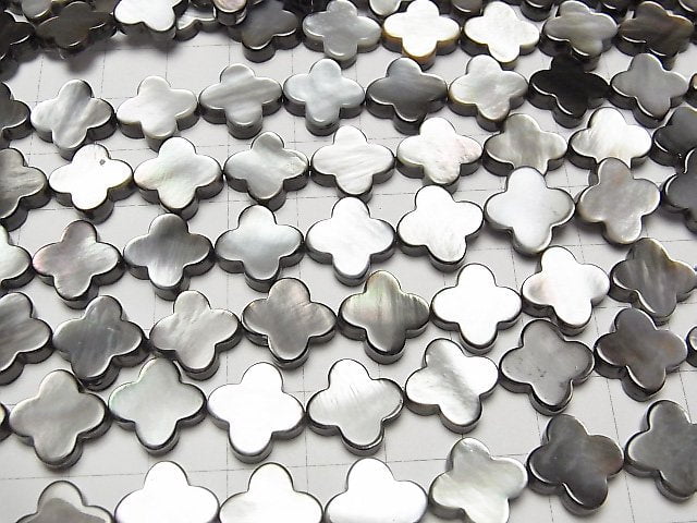 Black Shell AAA Flower Motif 13x13x3mm 1/4 or 1strand beads (aprx.15inch/38cm)