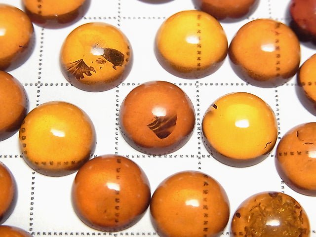 波羅的海圓形凸面琥珀 10x10mm 2顆