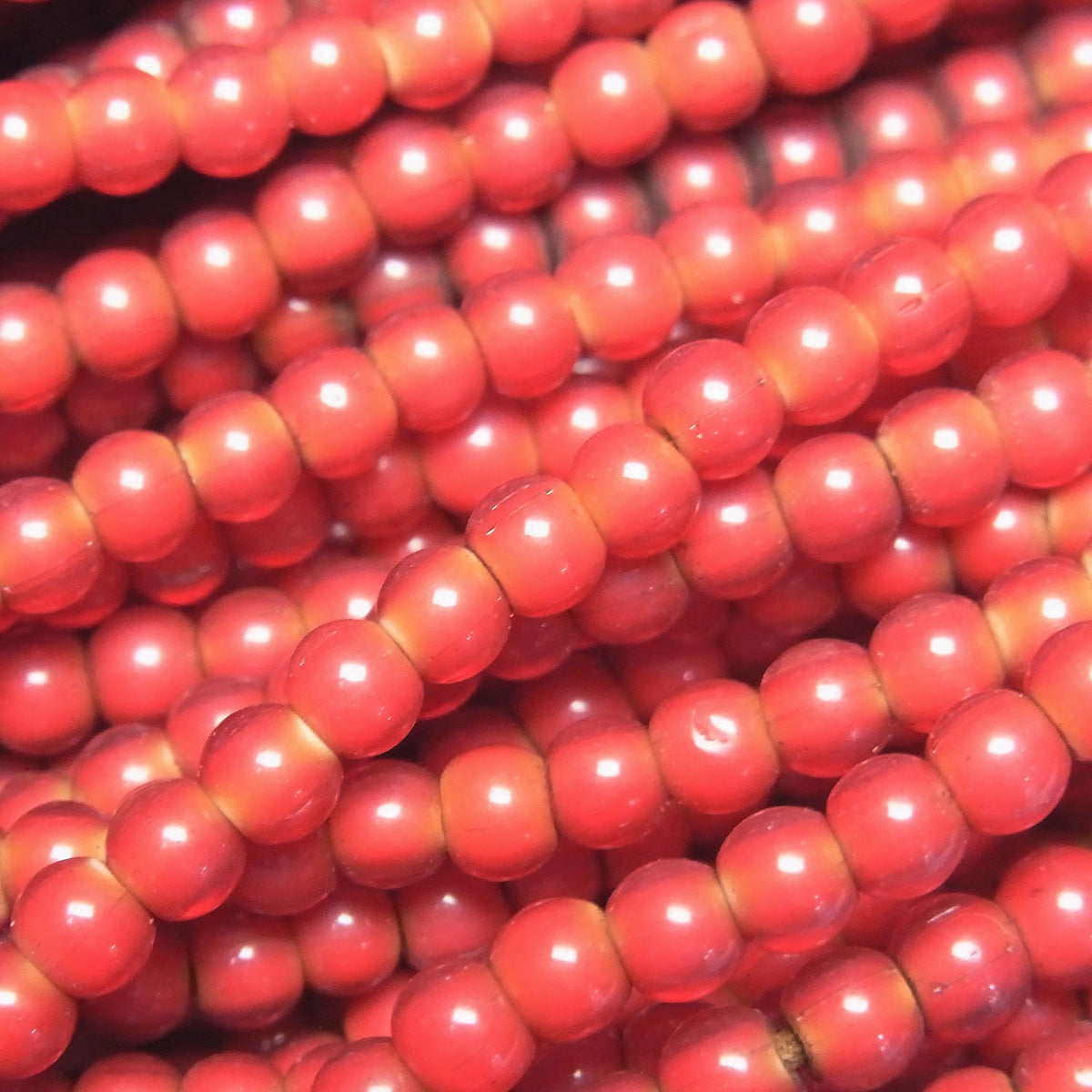 Indian White Heart Beads Rondelle 4x4x3mm 1strand beads (approx. 23 inches/58 cm)