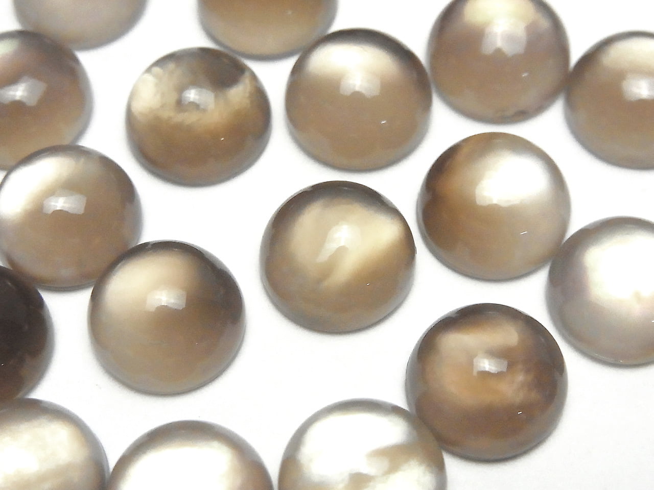 White Shell x Smoky Quartz AAA Round Cabochon 12x12mm 2pcs