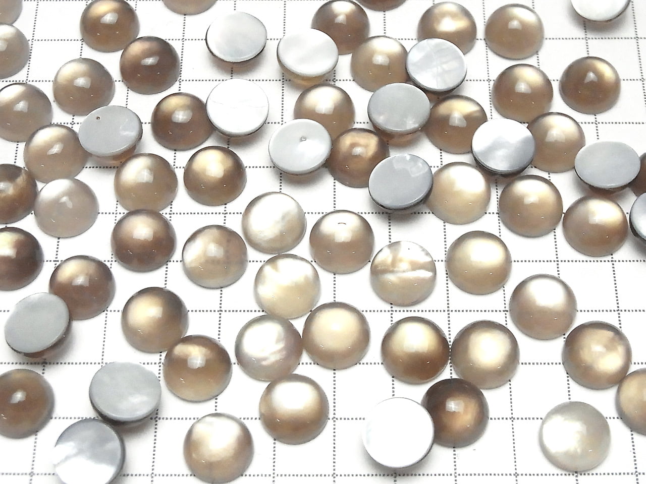 Weißes Muschel x Rauchquarz AAA Runde Cabochon 12x12mm 2 Stück