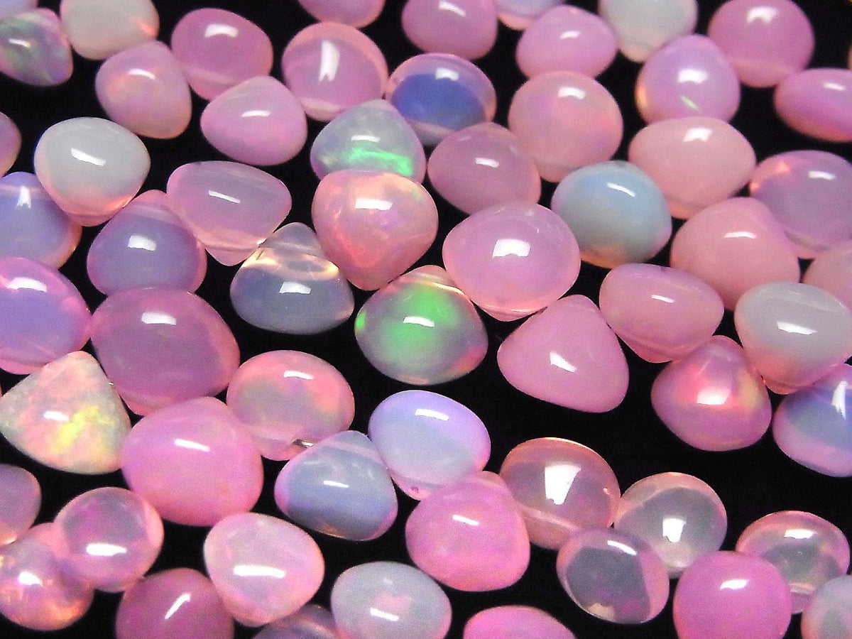 Äthiopischer Rosa Opal Zwiebel (Glatt) halb oder 1strang (18cm)