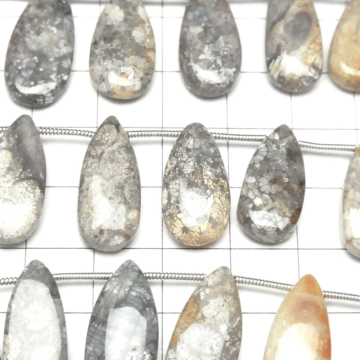 化石珊瑚梨形(光滑)半串或1串珠子(14顆)