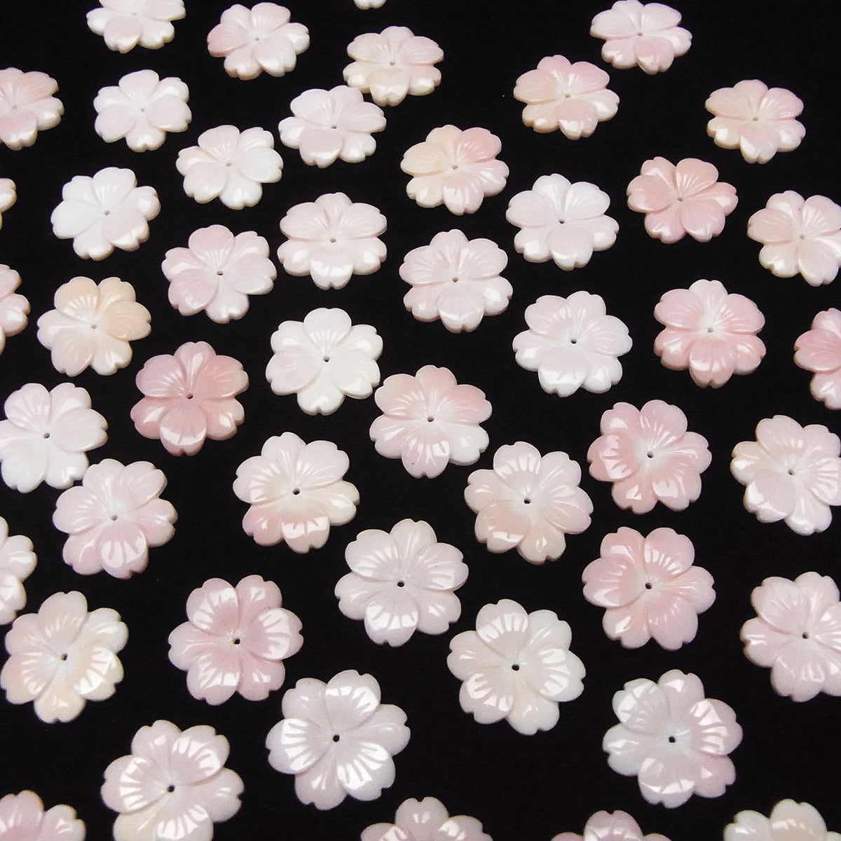 Coque de Conque Rose AAA Fleur 20mm Trou Central 1pc