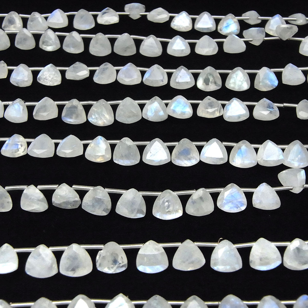 高品質彩虹月光石 AA++ 三角刻面 8x8mm 半串或 1 串珠子(18顆)