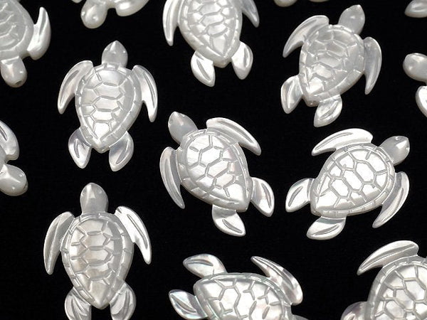 [Video] High quality white Shell AAA turtle shape 18x13mm 2pcs