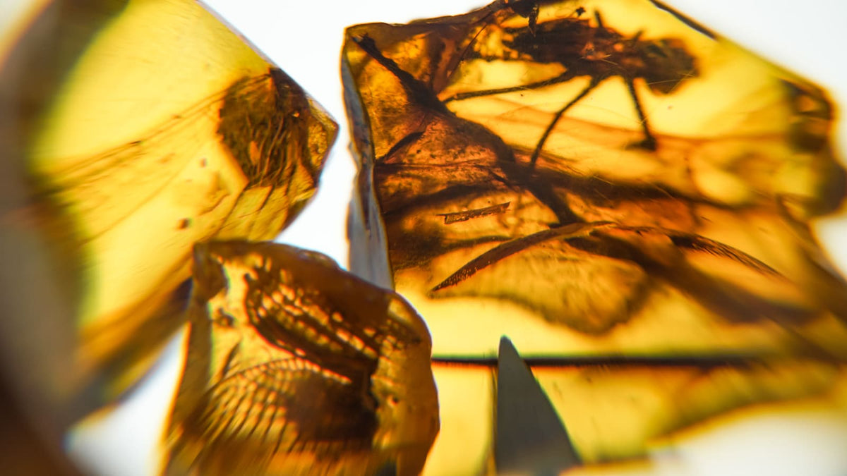 Amber