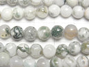 Tree Agate Round 6mm 1strand beads (aprx.15inch/38cm)