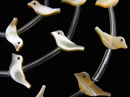 Mother of Pearl (Shell Beads), Other Shape Pearl & Shell Beads