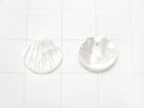 High Quality White Shell AAA Shell Motif (One Side) [10mm] [12mm] 4pcs