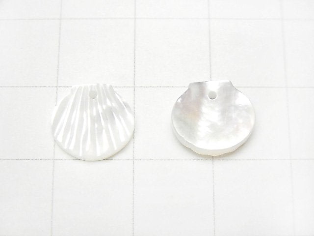 High Quality White Shell AAA Shell Motif (One Side) [10mm] [12mm] 4pcs