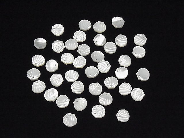 High Quality White Shell AAA Shell Motif (One Side) [10mm] [12mm] 4pcs