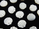 High quality white Shell AAA Shell motif (double sided) [8mm][10mm][12mm] 4pcs