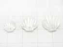 High quality white Shell AAA Shell motif (double sided) [8mm][10mm][12mm] 4pcs