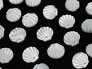 High quality white Shell AAA Shell motif (double sided) [8mm][10mm][12mm] 4pcs