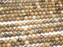 [Video]Petrified Wood Round 6.5mm 1strand beads (aprx.15inch/36cm)