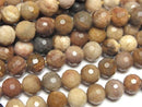 High Quality!  Petrified Wood  128Faceted Round 6mm half or 1strand beads (aprx.15inch/36cm)