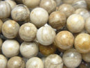 Silver Leaf Jasper Round 10mm 1strand beads (aprx.15inch/38cm)
