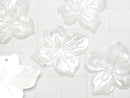 [Video] High Quality White Shell Flower 21x24x3mm 1pc