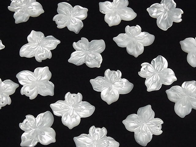 [Video] High Quality White Shell Flower 21x24x3mm 1pc