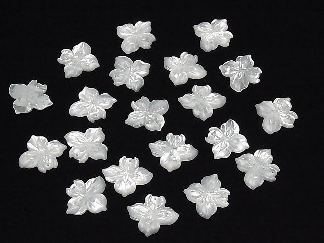 [Video] High Quality White Shell Flower 21x24x3mm 1pc