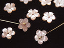Mother of Pearl (Shell Beads) Pearl & Shell Beads