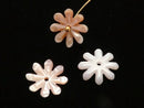 [Video] High-Quality Pink Shell AAA Daisy [6mm][8mm][10mm] Center Hole 3pcs