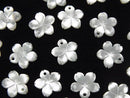 [Video] High Quality White Shell AAA Flower [6mm][8mm][10mm][12mm][14mm] 3pcs