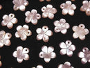[Video] High Quality Pink Shell AAA Flower [6mm][8mm][10mm][12mm][14mm] 2pcs