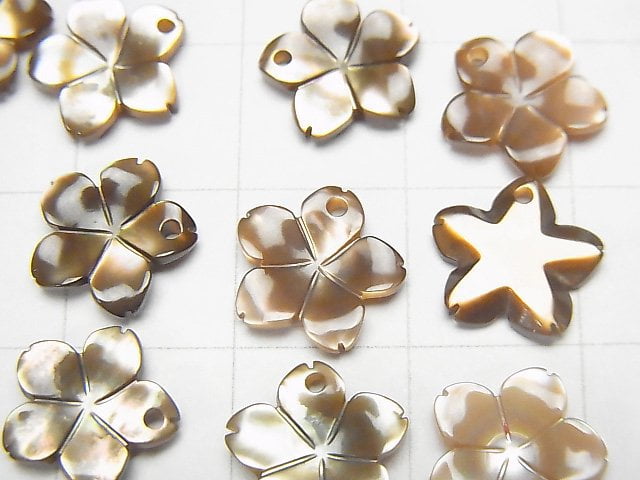 [Video] High Quality Brown Shell AAA Flower [8mm] [10mm] [12mm] [14mm] 3pcs