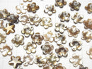 [Video] High Quality Brown Shell AAA Flower [8mm] [10mm] [12mm] [14mm] 3pcs