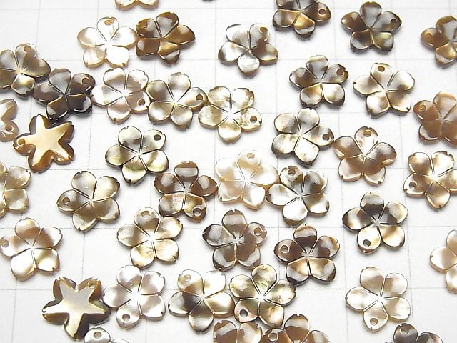 [Video] High Quality Brown Shell AAA Flower [8mm] [10mm] [12mm] [14mm] 3pcs